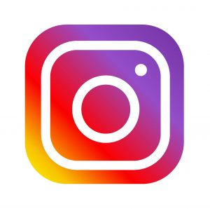 Instagram Logo for Team Mahout